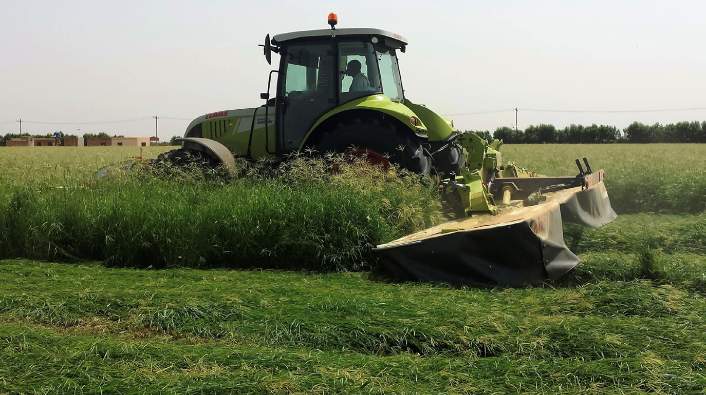 Agriculture in Sudan